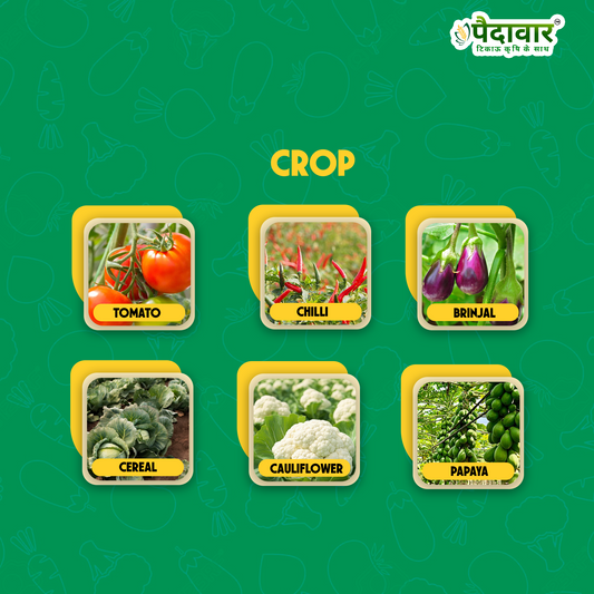 जिंक उच्च